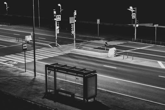 Black and white image of an empty city crosswalk and bus stop at night.